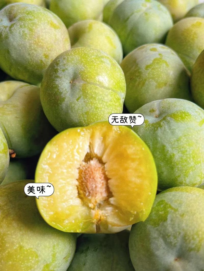 巫山脆李、青脆李、脱骨李、中华名果