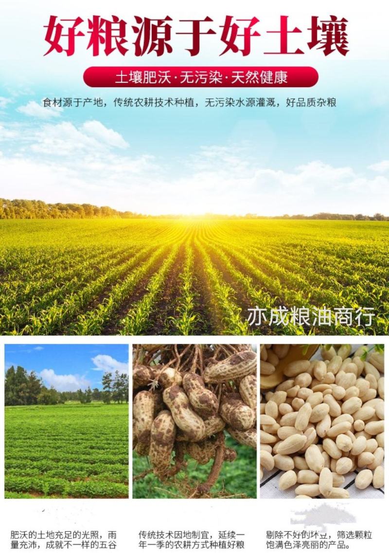 脱皮花生米去皮花生仁山东大颗粒生花生仁
