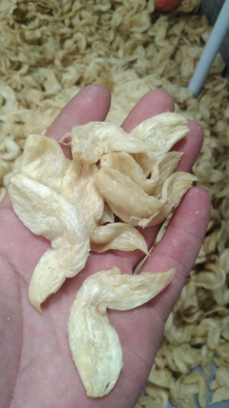 纯东北大豆，凉拌，炖，炒，豆制品素鸡翅