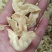 纯东北大豆，凉拌，炖，炒，豆制品素鸡翅