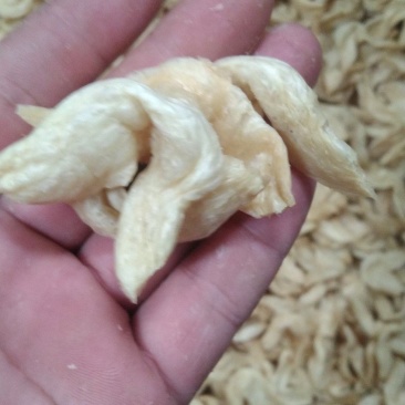 纯东北大豆，凉拌，炖，炒，豆制品素鸡翅