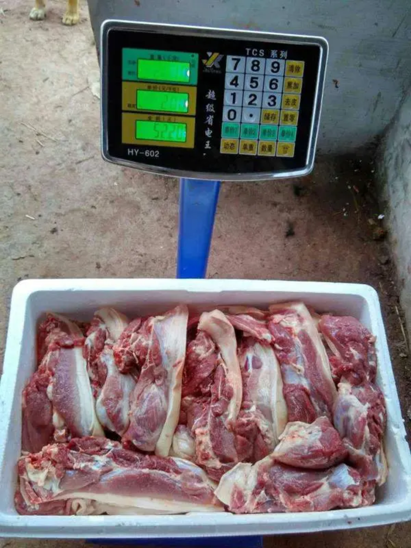 巴马香猪肉，质量保证，山里散养肉质细腻，欢迎采购