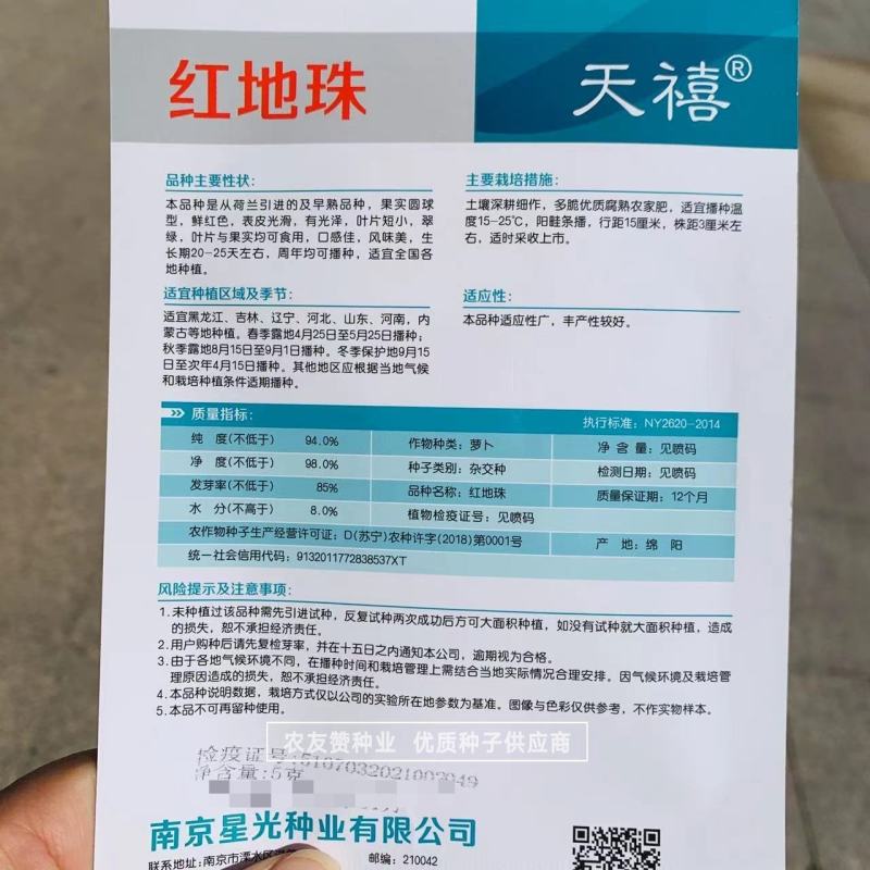 荷兰引进一代杂交樱桃萝卜种子早熟小萝卜种籽四季萝卜种子