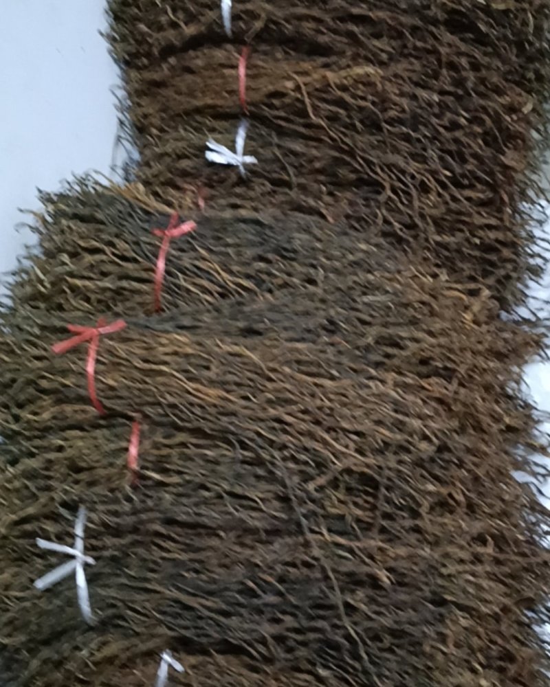 干江豆