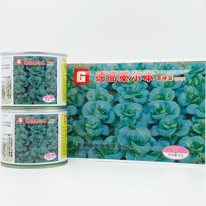 苏州青种子