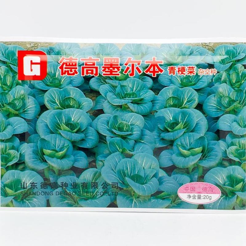 苏州青种子