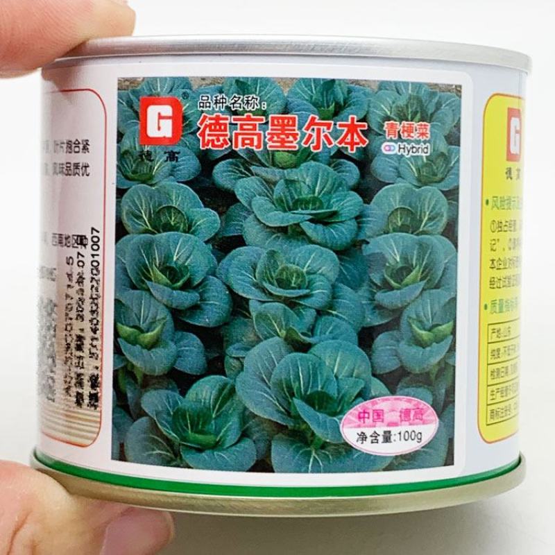 苏州青种子