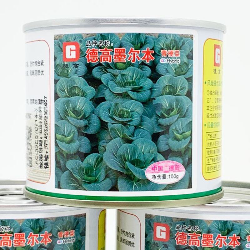 苏州青种子