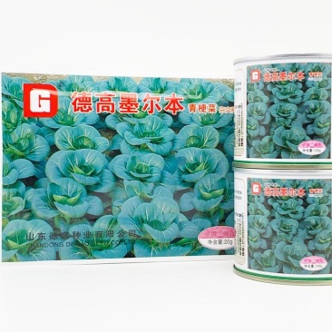 苏州青种子