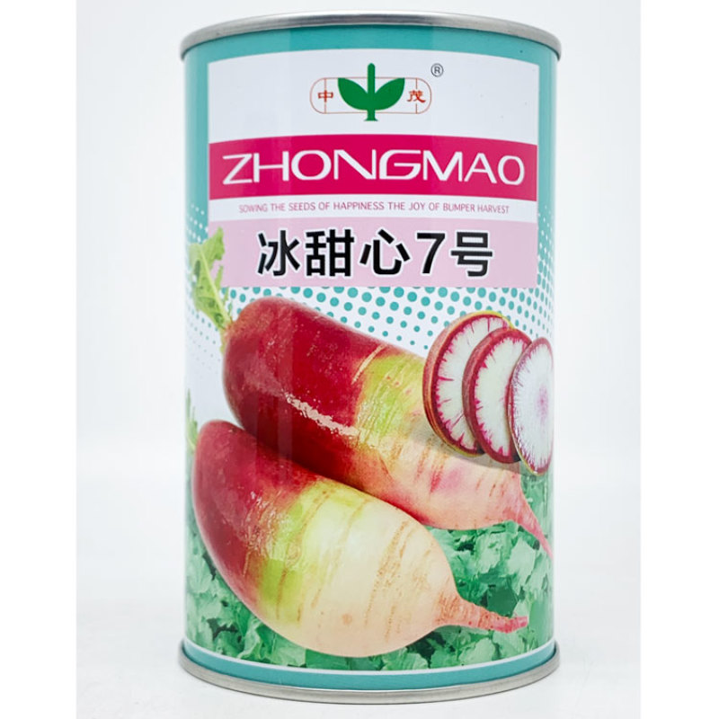 冰甜心7号冰淇淋水果萝卜种子三色肉紫花色脆甜萝卜种原装