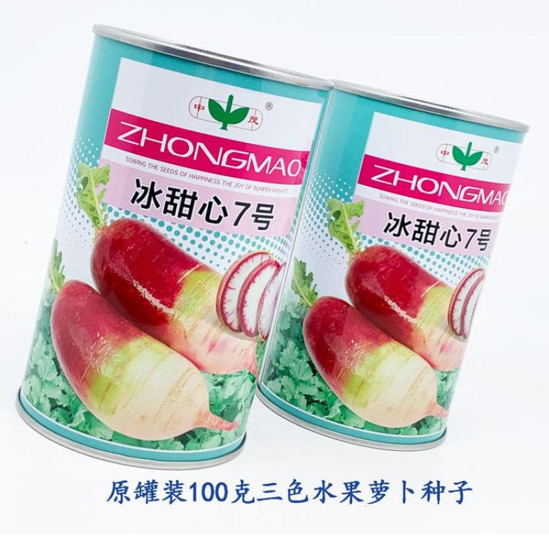 冰甜心7号冰淇淋水果萝卜种子三色肉紫花色脆甜萝卜种原装