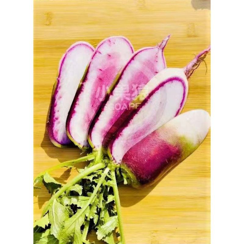 冰甜心7号冰淇淋水果萝卜种子三色肉紫花色脆甜萝卜种原装