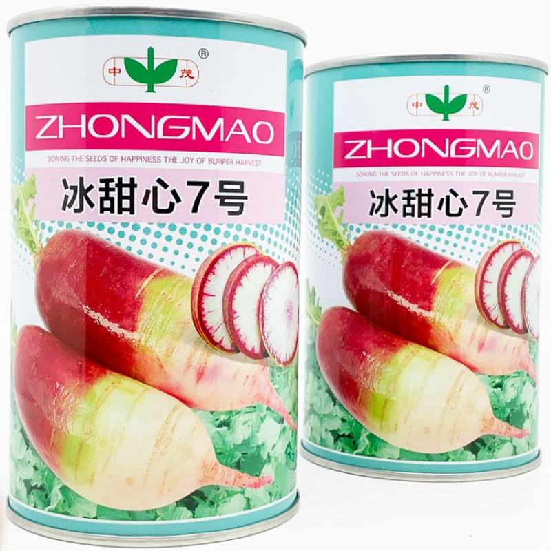 冰甜心7号冰淇淋水果萝卜种子三色肉紫花色脆甜萝卜种原装