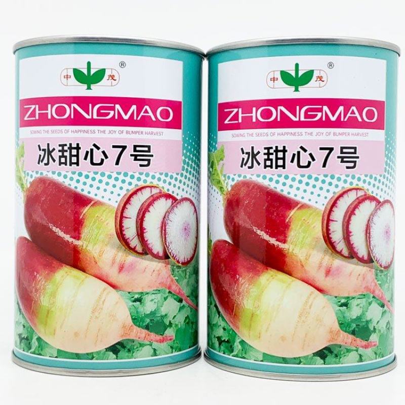 冰甜心7号冰淇淋水果萝卜种子三色肉紫花色脆甜萝卜种原装