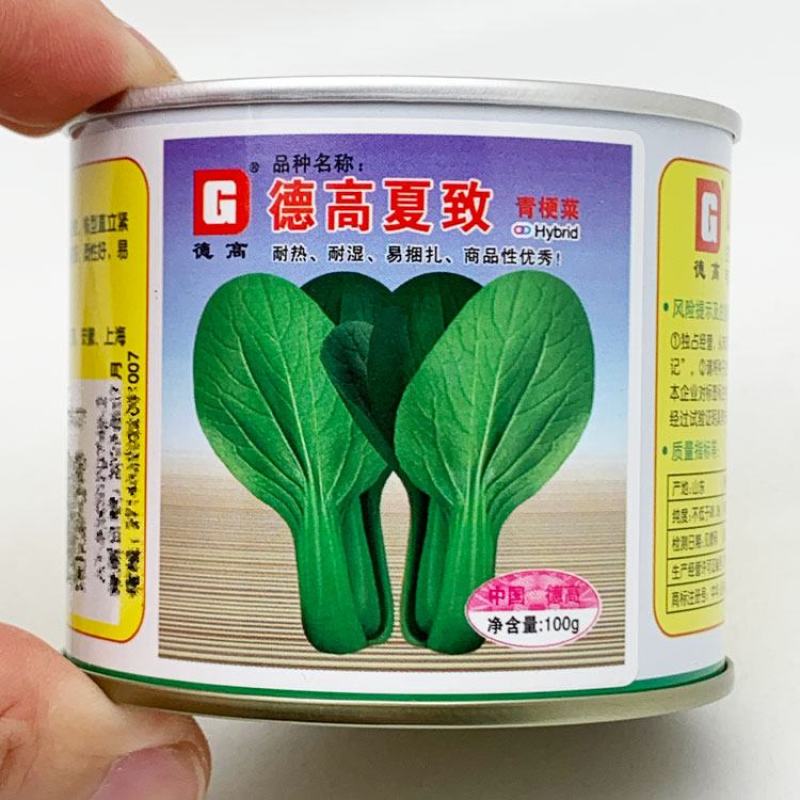 德高夏致耐热青梗菜种子夏季上海青耐湿不拔节青菜种100克