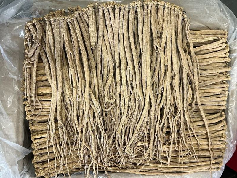 中号无硫黄党参