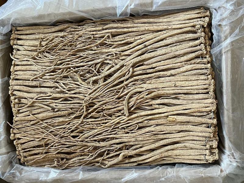 中号无硫黄党参