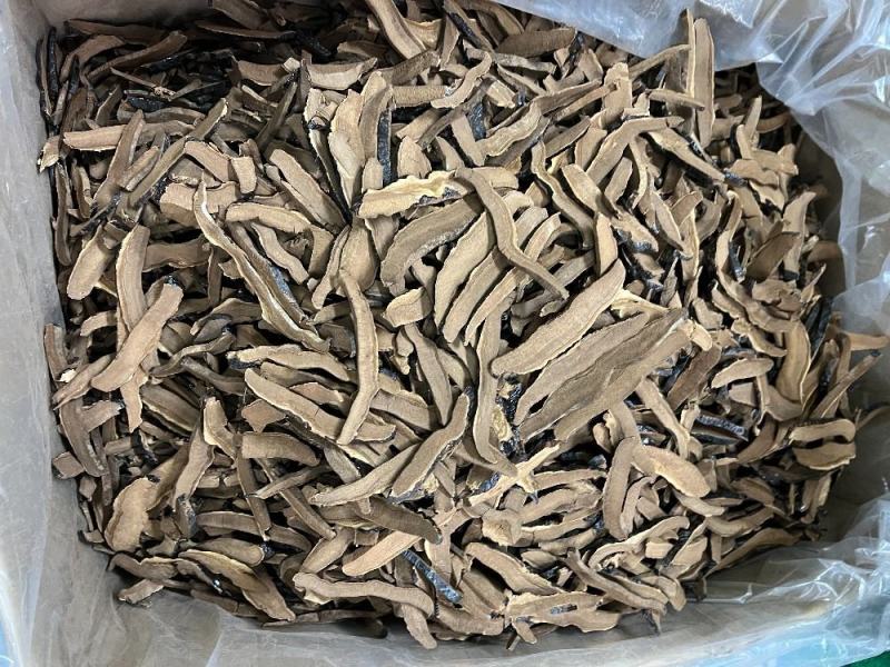 黑灵芝切片