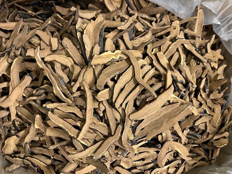 黑灵芝切片
