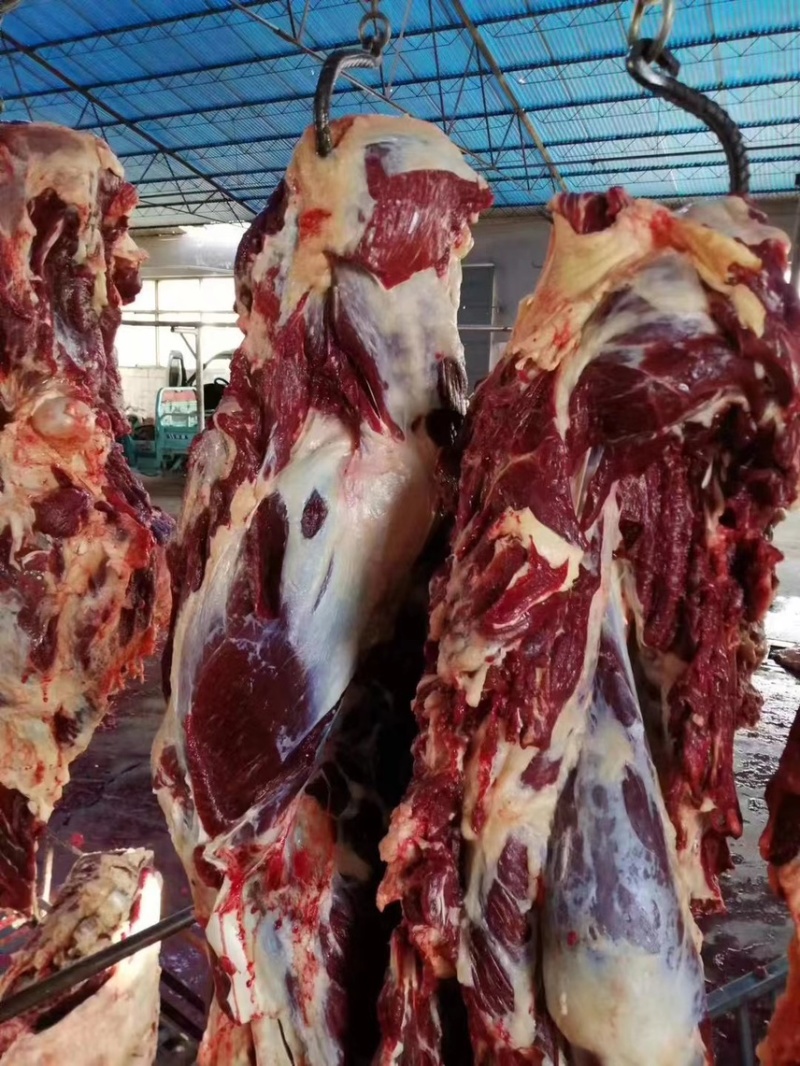 纯干牛肉26元/斤，2000斤起批。运费自理
