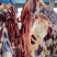 纯干牛肉26元/斤，2000斤起批。运费自理