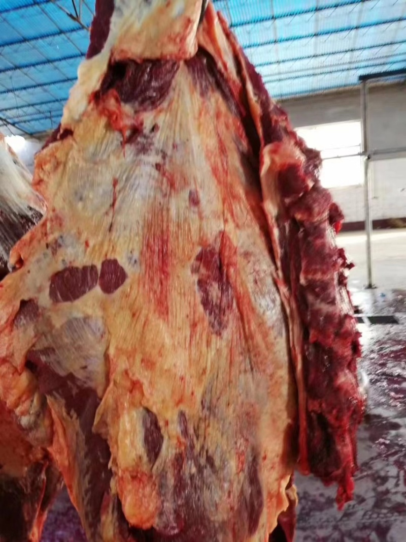 纯干牛肉26元/斤，2000斤起批。运费自理