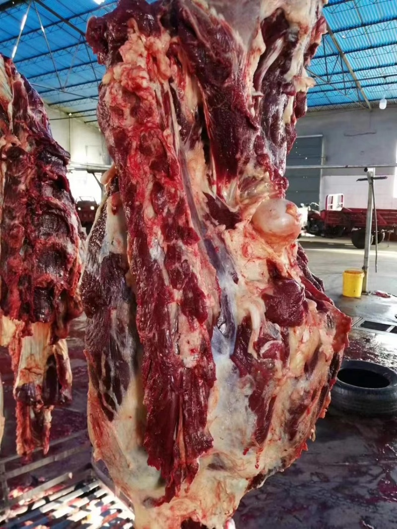 纯干牛肉26元/斤，2000斤起批。运费自理