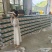 炎陵黄桃