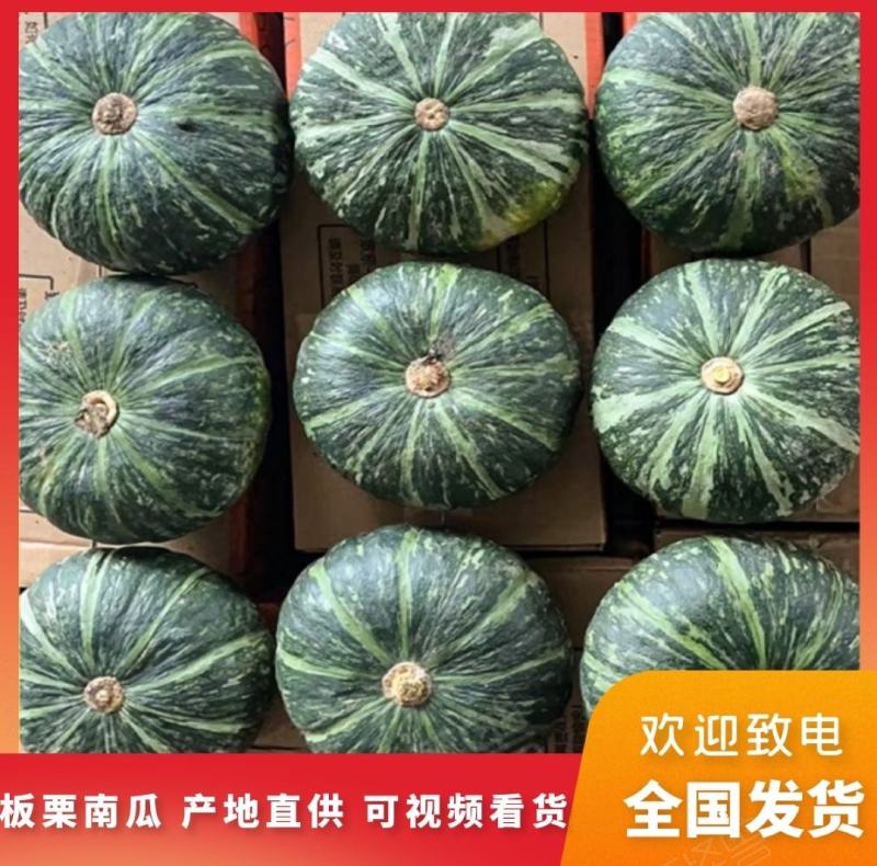 精品板栗南瓜香甜绵密产地直供品质保证一手货源量大价优