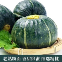 精品板栗南瓜产地直供一手货源量大价优品质保证