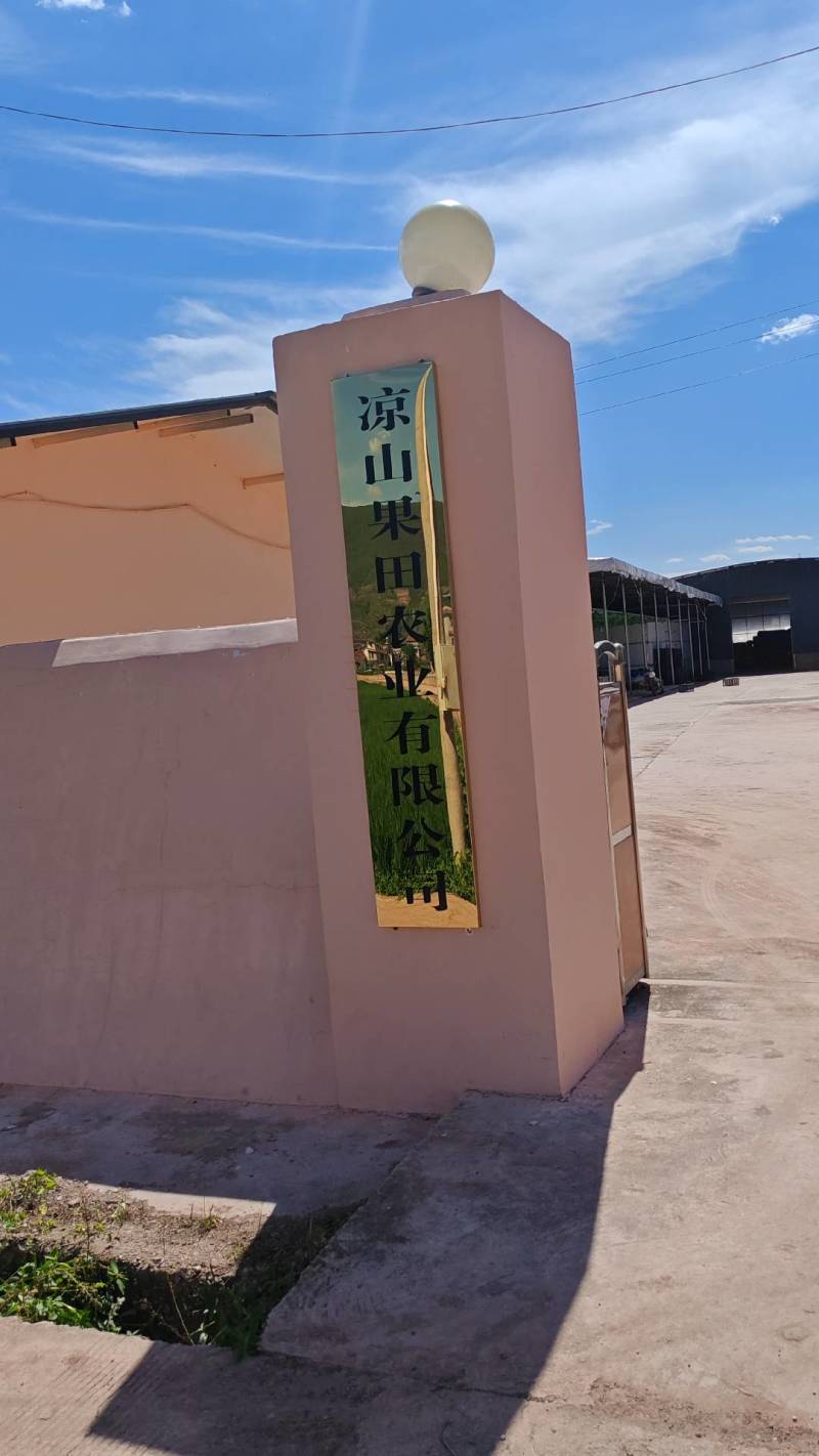 会理软籽石榴，产地货源，资深代办团队，对接各大平台电商。