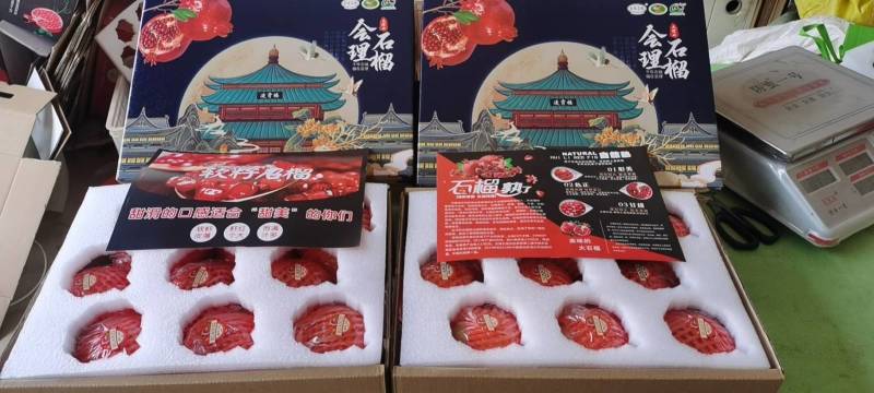 会理软籽石榴，产地货源，资深代办团队，对接各大平台电商。