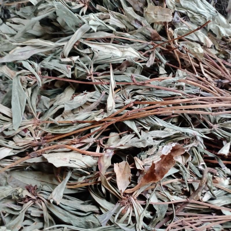 全新追风伞，一把伞，贵州本地干货，干净无杂欢迎订购
