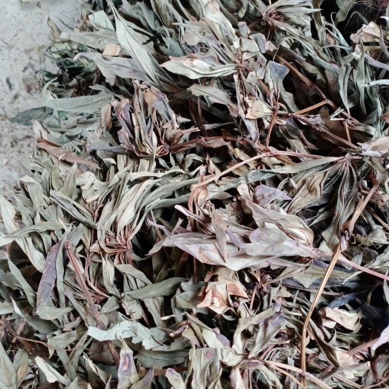 全新追风伞，一把伞，贵州本地干货，干净无杂欢迎订购