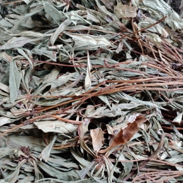 全新追风伞，一把伞，贵州本地干货直批，质量保证