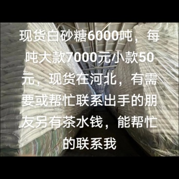 优级白沙糖