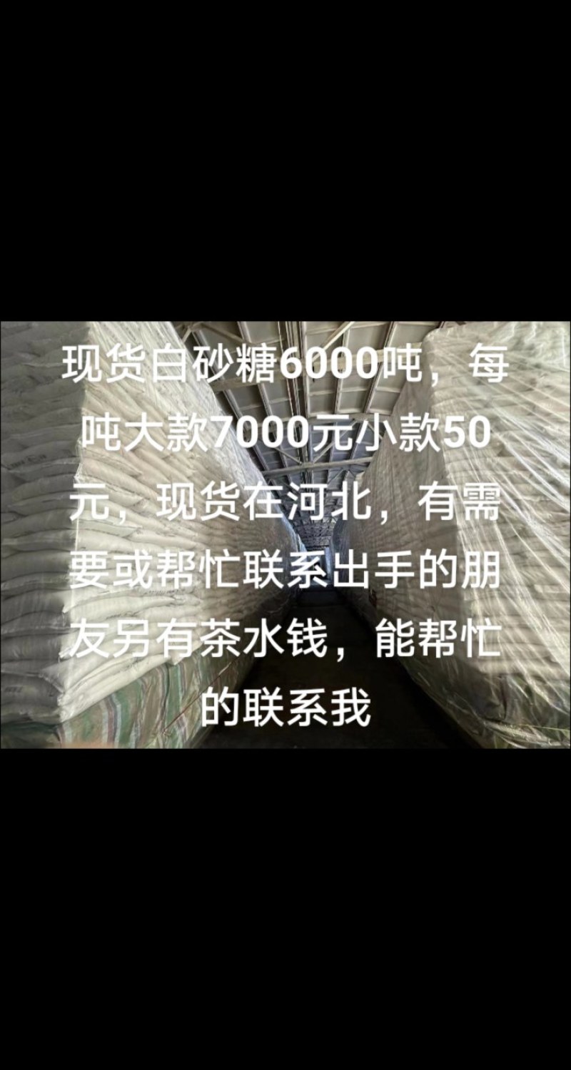 优级白沙糖