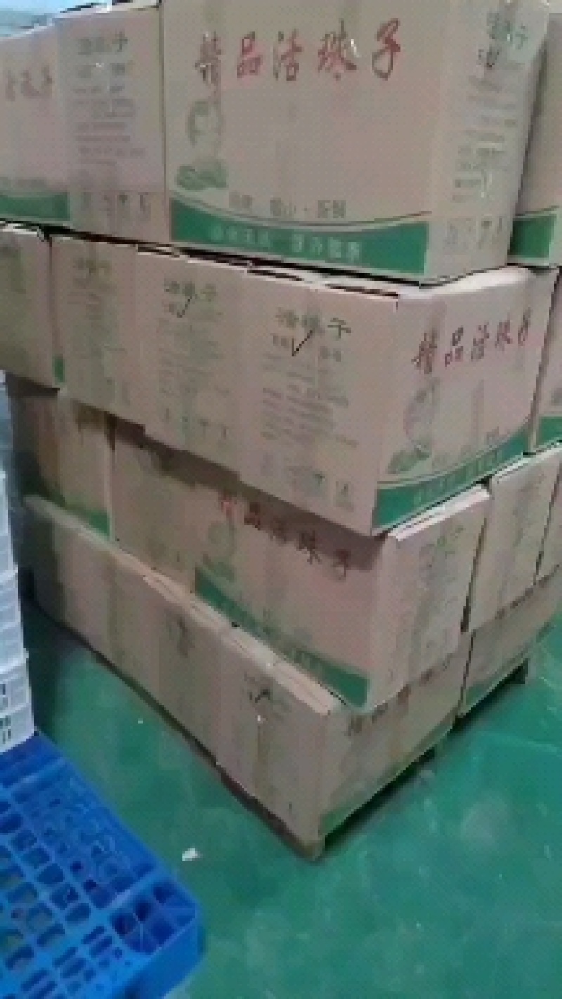 五香活珠子
