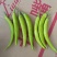 大小杭椒，精品，质量一等，山东济宁金乡，菏泽，质优价廉