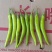 大小杭椒，精品，质量一等，山东济宁金乡，菏泽，质优价廉