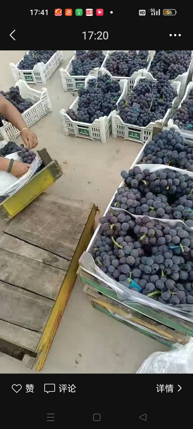 夏黑葡萄，产地直发，货源充足，价格低。