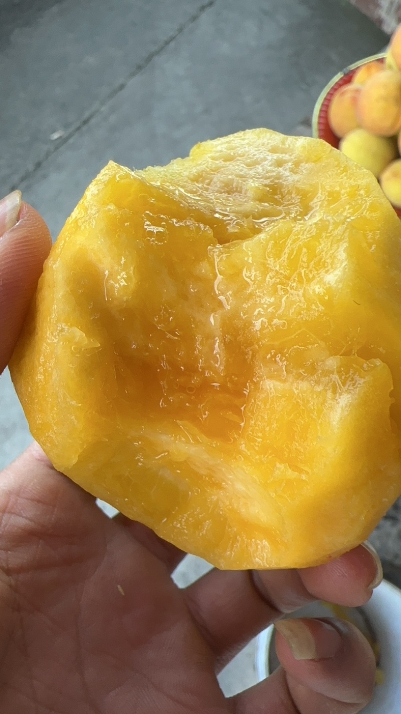 锦绣黄桃市场果商超果电商果量大从优质量有保证