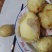 沃土5号黄心土豆子，粗皮，沙土豆