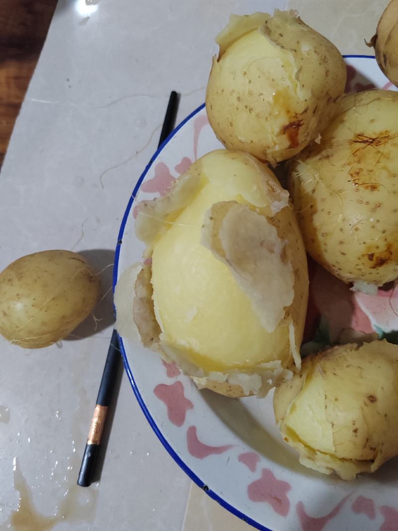 沃土5号黄心土豆子，粗皮，沙土豆