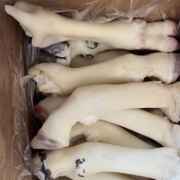 羊蹄