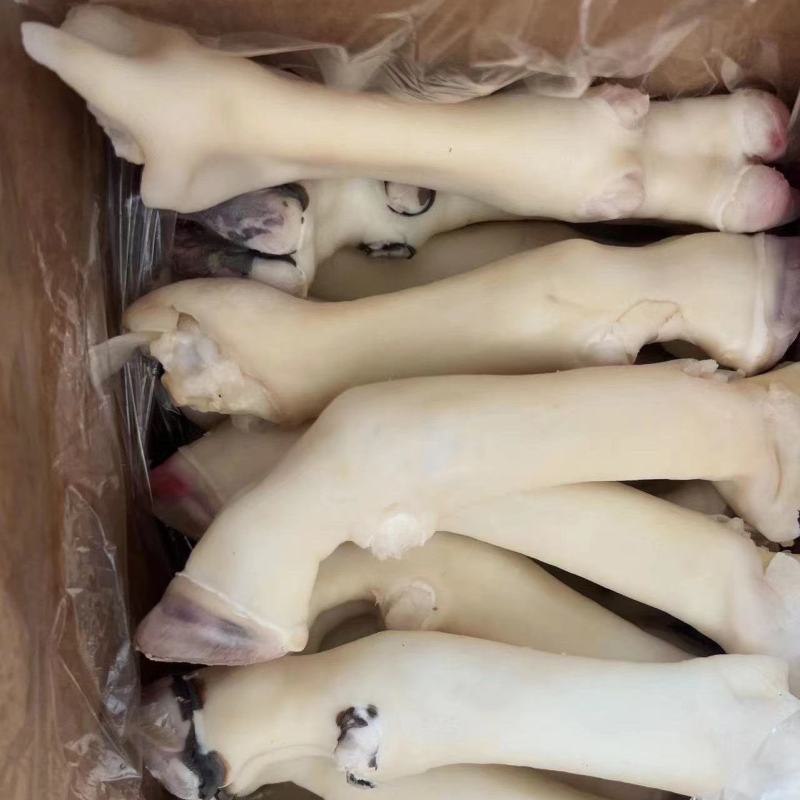 羊蹄