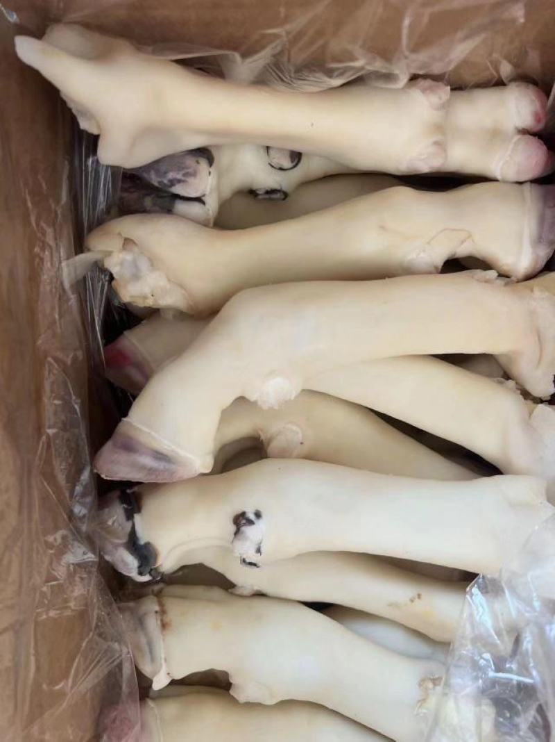 羊蹄