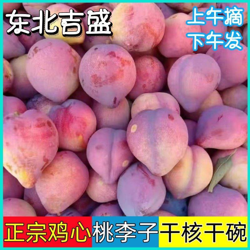 一件代发电商平台主播吉盛李子鸡心桃李子支持顺丰中通