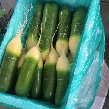 水果萝卜