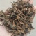 雪里蕻梅干菜生刀菜100g装，简单.方便.避免浪费。